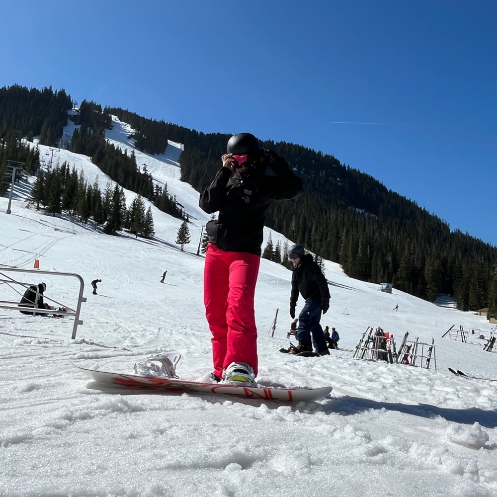 Pink Roxy Backyard Insulated Snow Pants - Picture 5 of 5